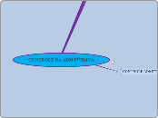 CONTROLE DA ADM PÚBLICA - Mapa Mental