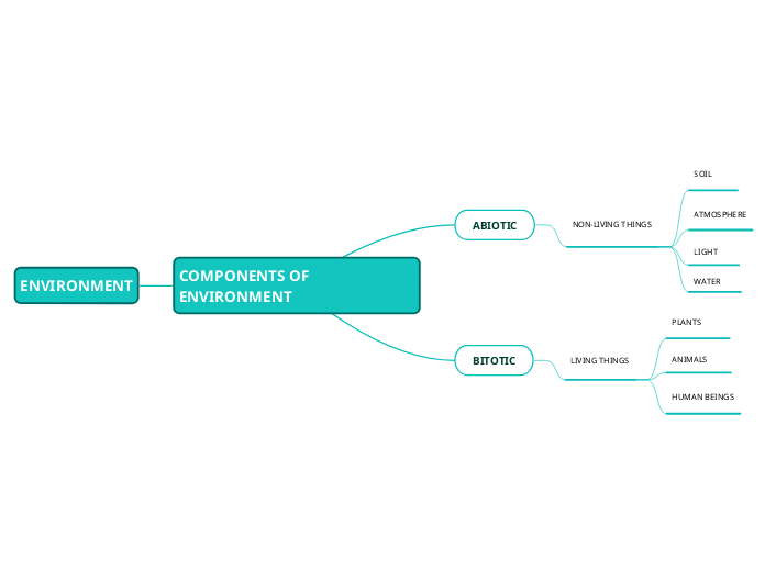 COMPONENTS OF ENVIRONMENT - Mind Map