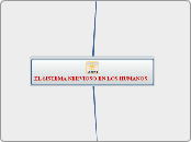 EL SISTEMA NERVIOSO EN LOS HUMANOS - Mapa Mental