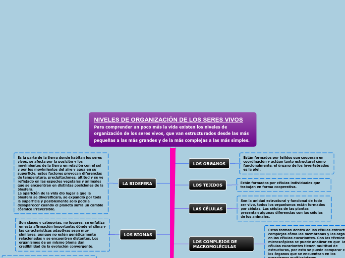 NIVELES DE ORGANIZACIÓN DE LOS SERES VI...- Mapa Mental