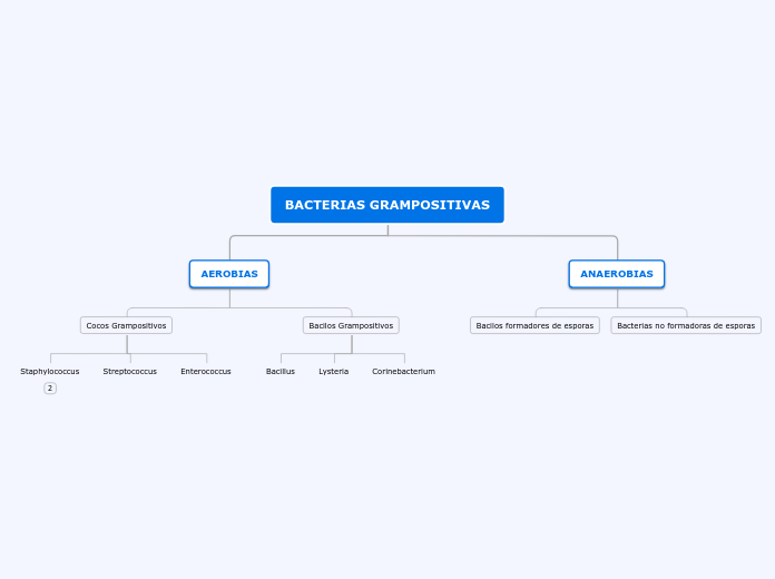 BACTERIAS GRAMPOSITIVAS - Mapa Mental