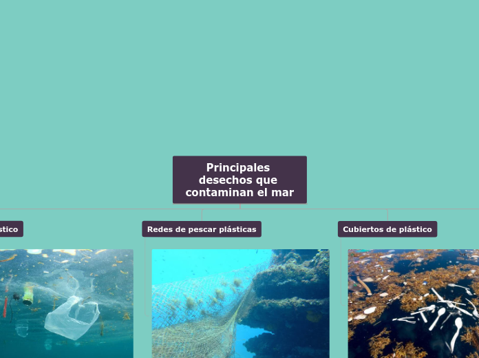 Principales desechos que contaminan el ...- Mapa Mental