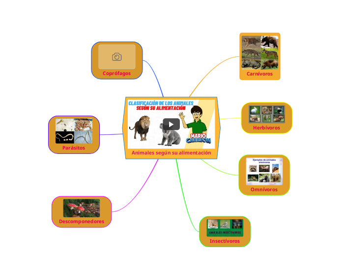 Animales según su alimentación - Mapa Mental