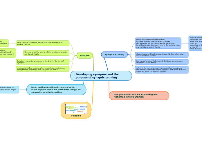 Developing synapses and the purpose of syn...- Mind Map
