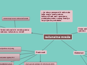 računalna mreža - Mind Map