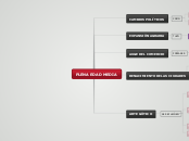 Plena Edad Media - Mapa Mental