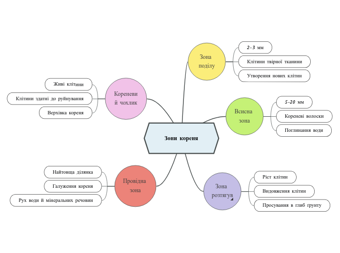 Зони кореня - Mind Map