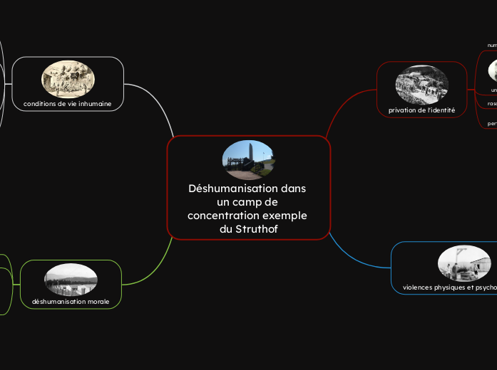 Déshumanisation dans un camp de concentration exemple du Struthof