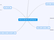 Msika taldeak eta sailkapena - Mind Map