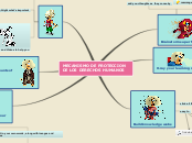 MECANISMO DE PROTECCION DE LOS DERECHOS HU...- Mind Map