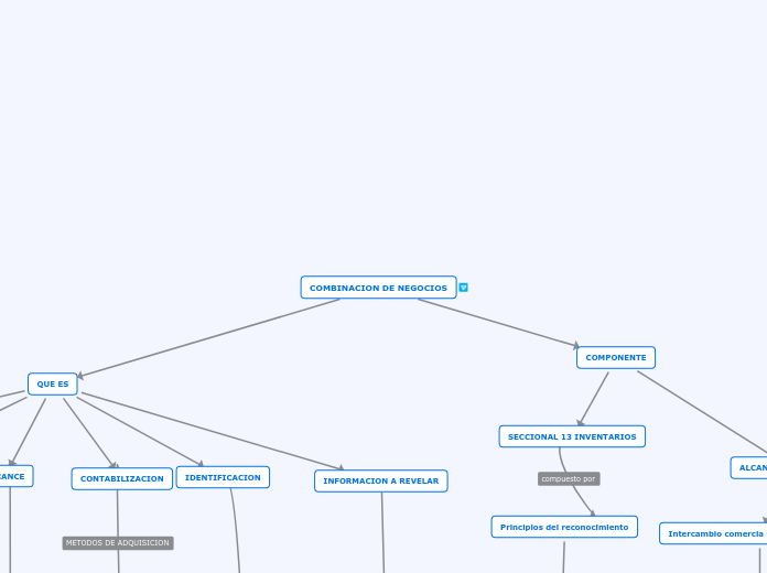COMBINACION DE NEGOCIOS - Mapa Mental