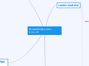 fisiopatológia caso F.A.L.M - Mapa Mental