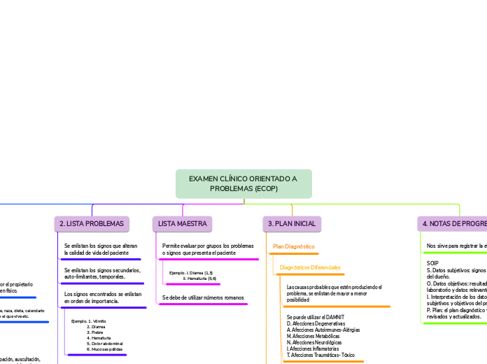 EXAMEN CLÍNICO ORIENTADO A PROBLEMAS (E...- Mapa Mental