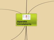 Aparato circulatorio - Mapa Mental