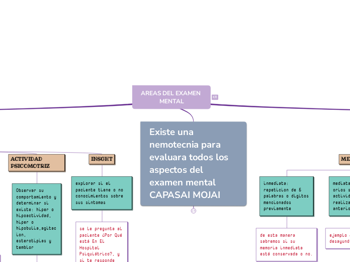 AREAS DEL EXAMEN MENTAL