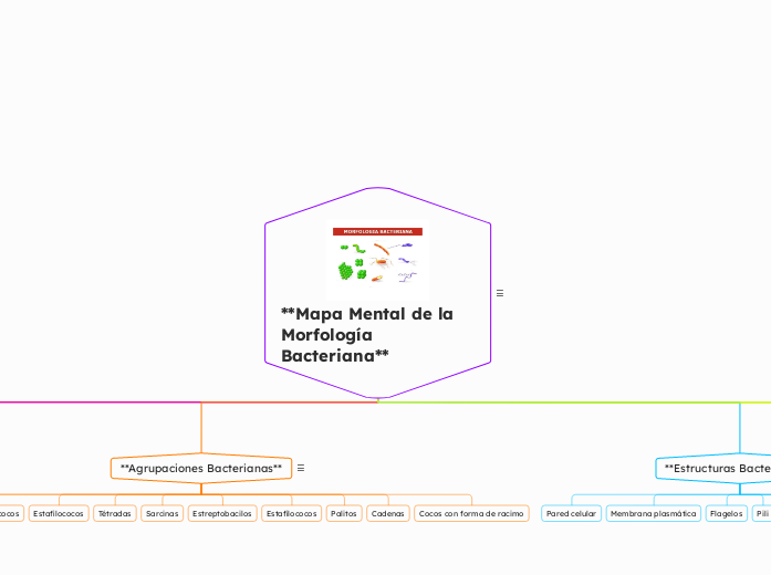 **Mapa Mental de la Morfología Bacteriana**