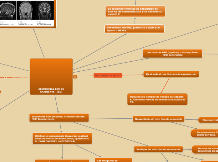 SECUENCIAS ECO DE GRADIENTE (EG) - Mind Map
