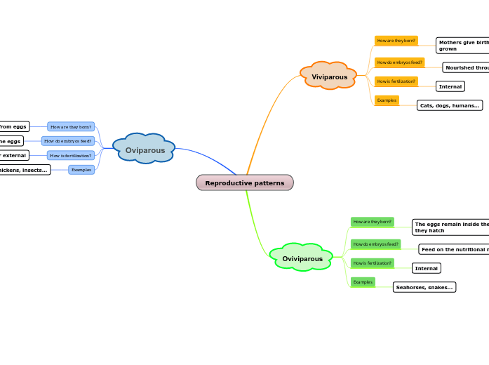 Reproductive patterns - Mind Map