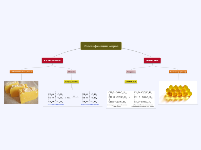 классификация жиров - Мыслительная карта