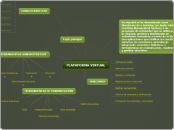 PLATAFORMA VIRTUAL - Mapa Mental