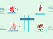 función de nutrición - Mapa Mental