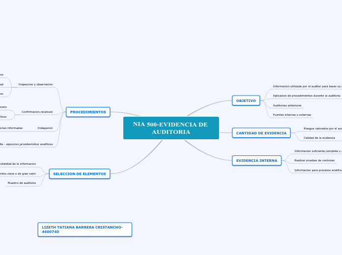 NIA 500-EVIDENCIA DE AUDITORIA - Mapa Mental