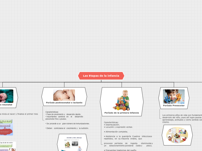 Las Etapas de la infancia - Mapa Mental