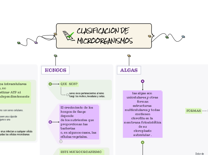 CLASIFICACION DE MICROORGANISMOS - Mind Map