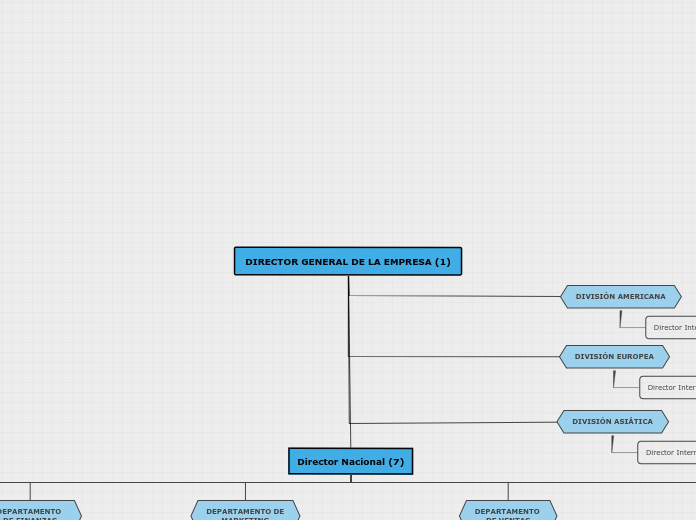 DIRECTOR GENERAL DE LA EMPRESA (1) - Mapa Mental