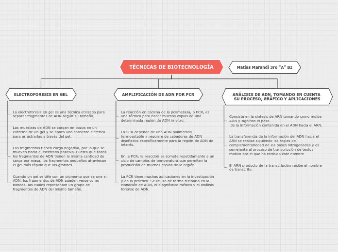 TÉCNICAS DE BIOTECNOLOGÍA - Mapa Mental