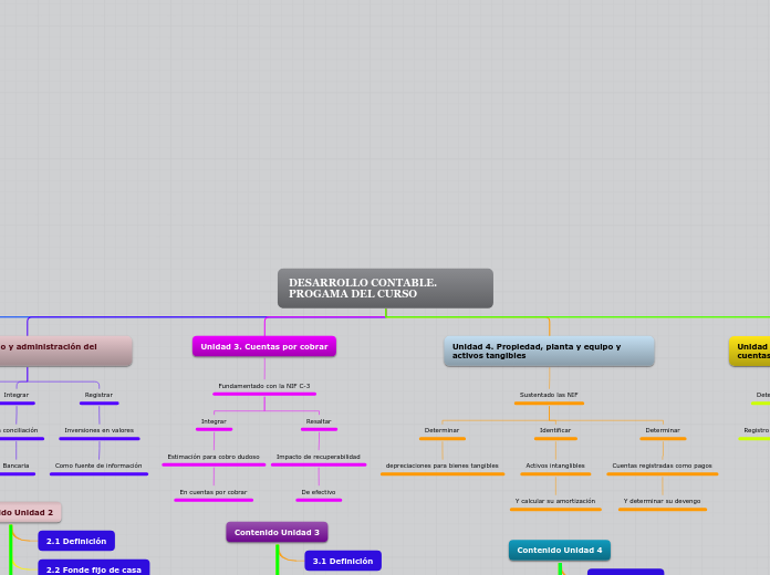 DESARROLLO CONTABLE. PROGAMA DEL CURSO - Mapa Mental