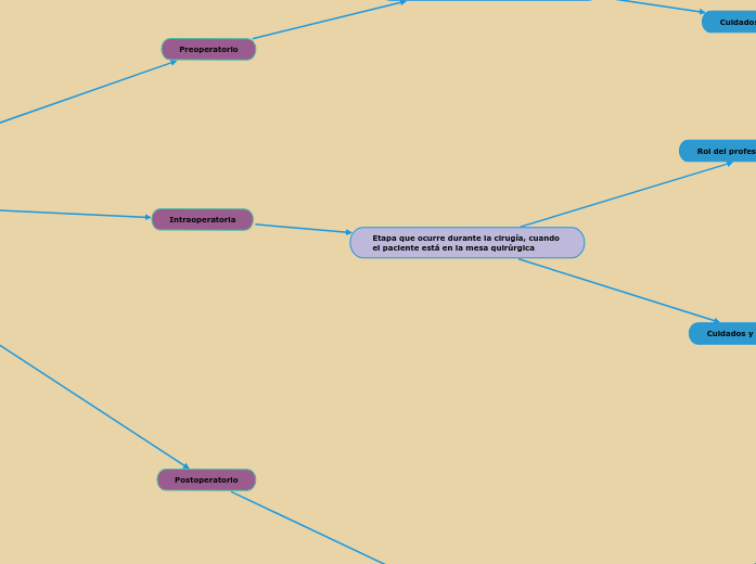 Fases o etapas de las intervenciones pe...- Mapa Mental