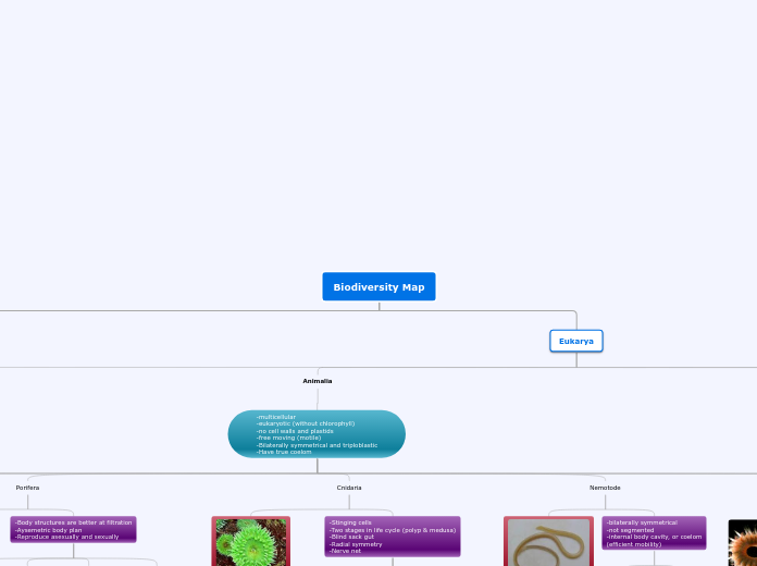 Biodiversity Map - Mind Map