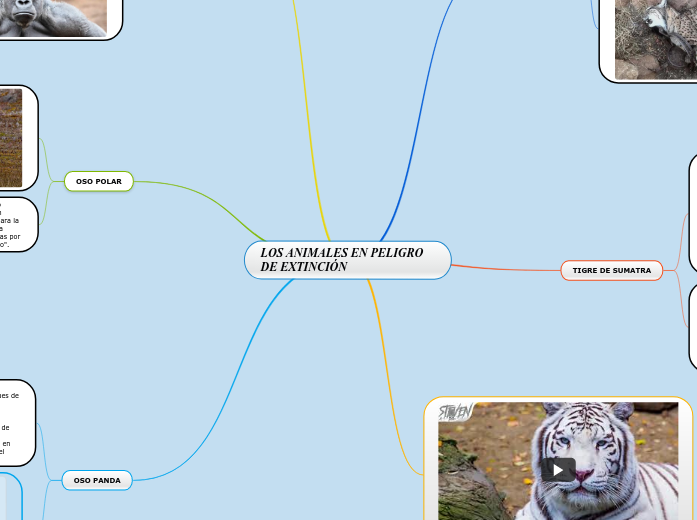LOS ANIMALES EN PELIGRO DE EXTINCIÓN - Mind Map