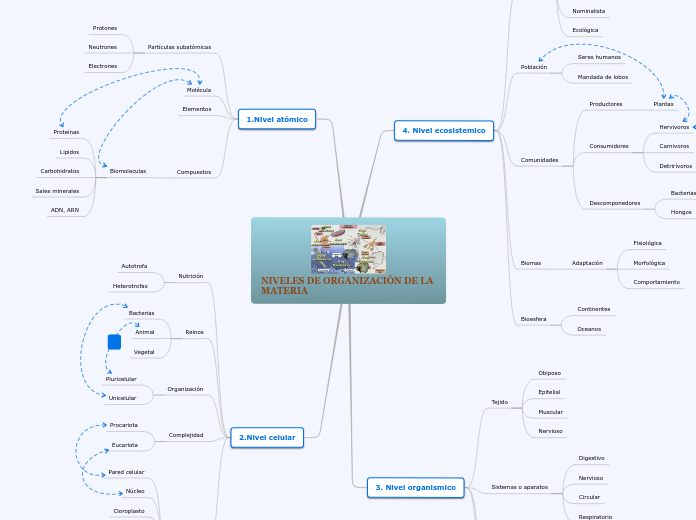 NIVELES DE ORGANIZACIÓN DE LA MATERIA - Mapa Mental