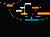 Componentes del proyecto - Mapa Mental