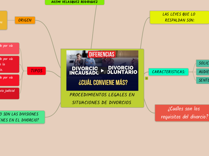 PROCEDIMIENTOS LEGALES EN SITUACIONES DE DIVORCIOS 