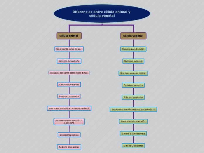 Diferencias entre célula animal y cédul...- Mapa Mental