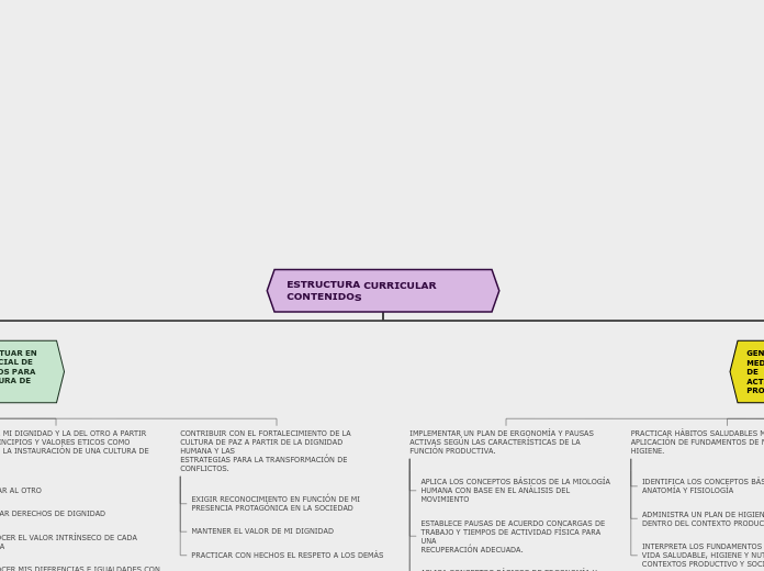 ESTRUCTURA CURRICULAR CONTENIDOS - Mapa Mental