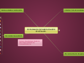DIPLOMADO, ZAMORA ORTIZ SORAYA GUADALUP...- Mapa Mental