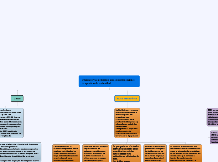 Organigrama