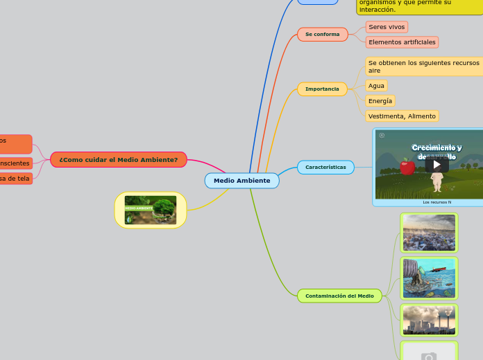 Medio Ambiente - Mapa Mental