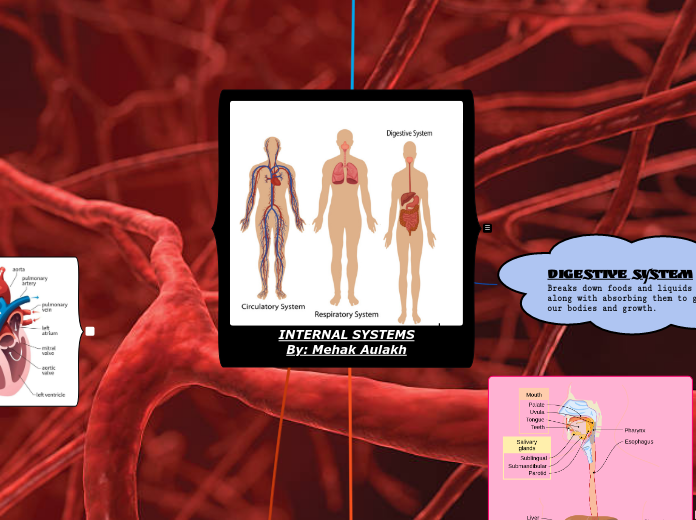 INTERNAL SYSTEMS
By: Mehak Aulakh - Mind Map