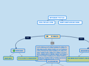 E-MAIL - Mapa Mental