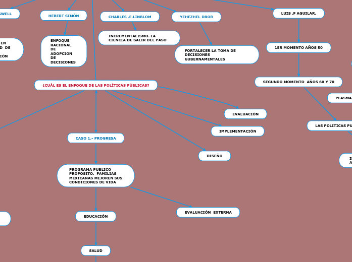 ¿CUÁL ES EL ORIGEN DE LAS POLÍTICAS PÚB...- Mapa Mental