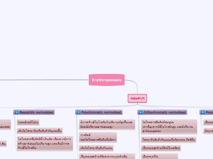 Erythropoiesis - Mind Map