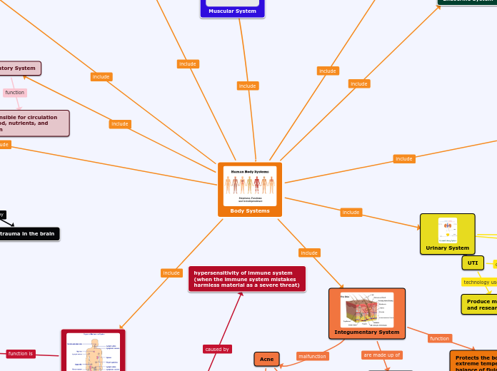 Body Systems - Mind Map
