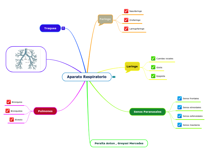 Aparato Respiratorio - Mapa Mental