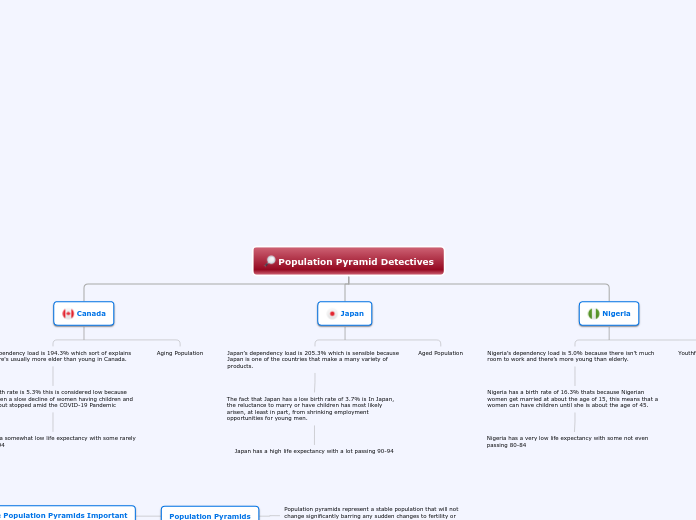Population Pyramid Detectives - Mind Map