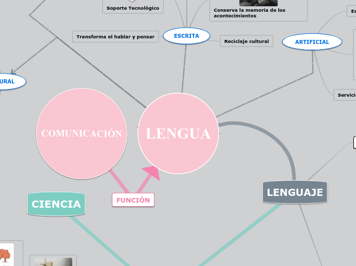 LENGUA - Mapa Mental